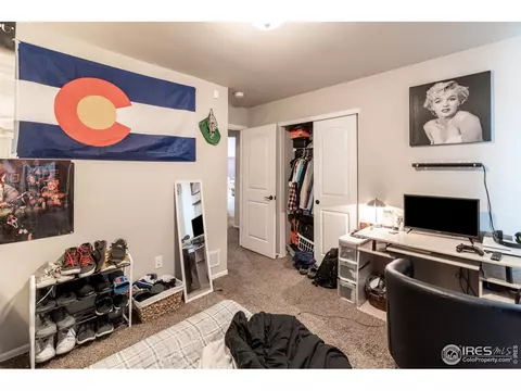 846 Sunlight Peak Dr, Windsor, CO 80550 photo 17