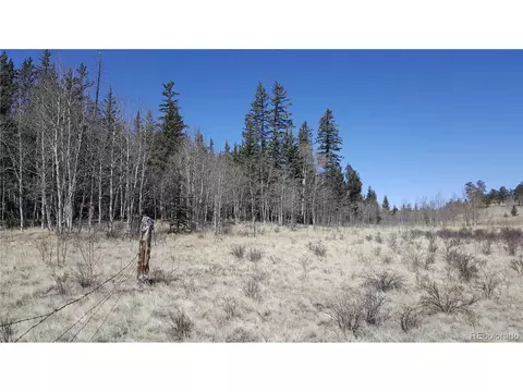 50 Rawhide Way, Como, CO 80432 photo 5