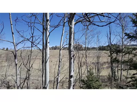 50 Rawhide Way, Como, CO 80432 photo 7