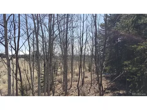 50 Rawhide Way, Como, CO 80432 photo 6