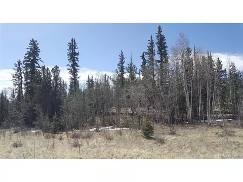 50 Rawhide Way, Como, CO 80432 photo 12