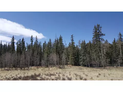 50 Rawhide Way, Como, CO 80432 photo 15