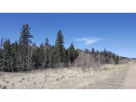 50 Rawhide Way, Como, CO 80432 photo 14