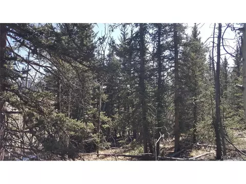 50 Rawhide Way, Como, CO 80432 photo 10