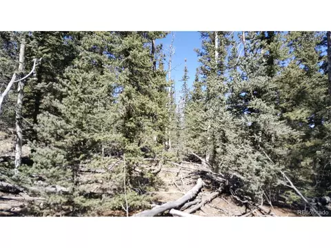 50 Rawhide Way, Como, CO 80432 photo 8
