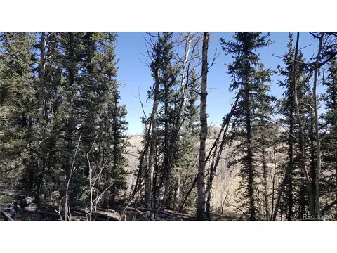 50 Rawhide Way, Como, CO 80432 photo 9