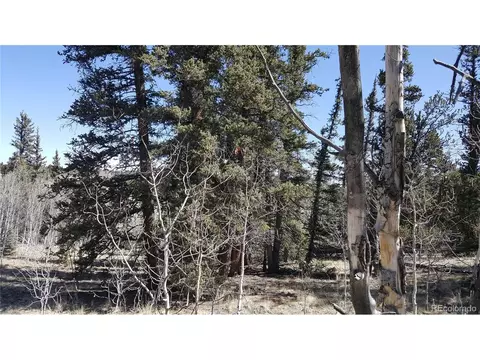 50 Rawhide Way, Como, CO 80432 photo 13