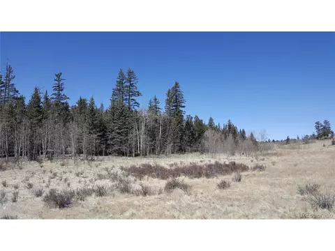 50 Rawhide Way, Como, CO 80432 photo 3
