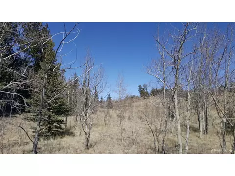 50 Rawhide Way, Como, CO 80432 photo 11