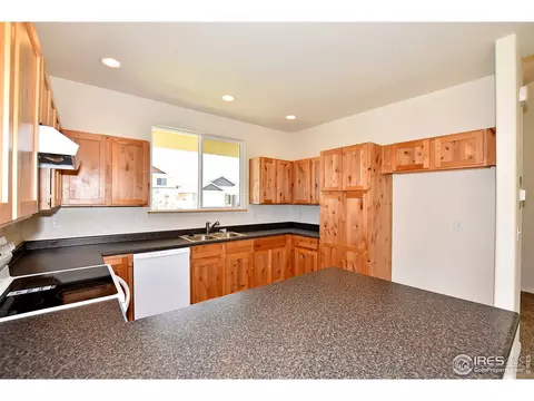 509 Lowland St, Severance, CO 80550 photo 14