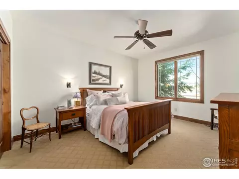 1408 Bison Run Dr, Windsor, CO 80550 photo 23