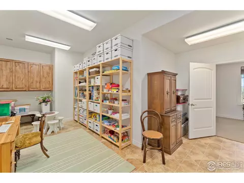 1408 Bison Run Dr, Windsor, CO 80550 photo 35