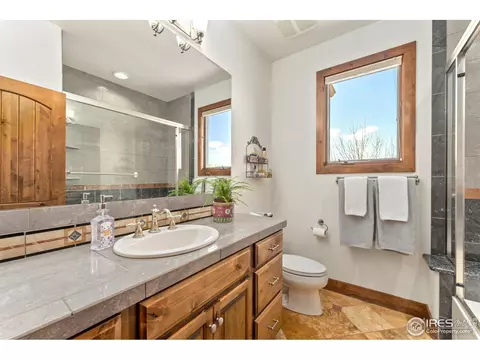 1408 Bison Run Dr, Windsor, CO 80550 photo 24
