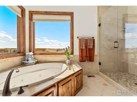 1408 Bison Run Dr, Windsor, CO 80550 photo 22
