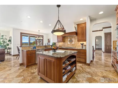 1408 Bison Run Dr, Windsor, CO 80550 photo 13