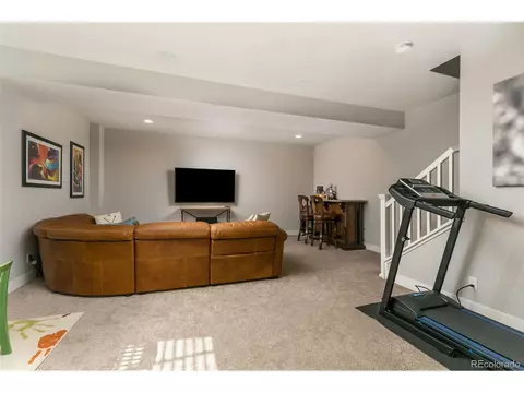 9992 E 60th Ave, Denver, CO 80238 photo 22