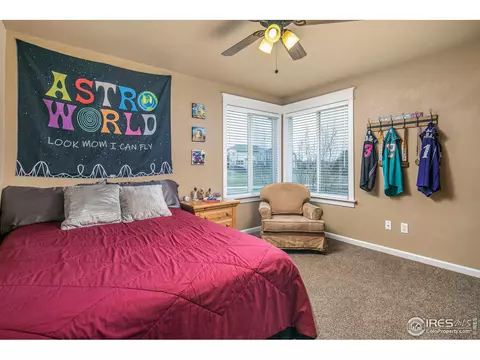 5948 Thistle Ridge Ave, Firestone, CO 80504 photo 19