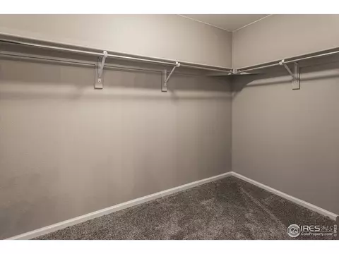 5344 Eagle Creek Dr, Timnath, CO 80547 photo 24