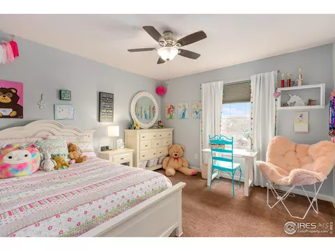 2585 E 141st Pl, Thornton, CO 80602 photo 25