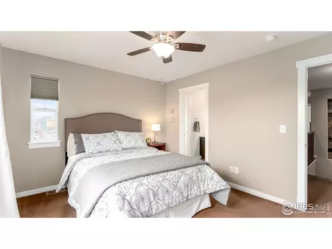 2585 E 141st Pl, Thornton, CO 80602 photo 24