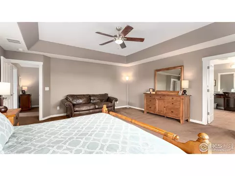 2585 E 141st Pl, Thornton, CO 80602 photo 19