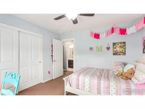 2585 E 141st Pl, Thornton, CO 80602 photo 26