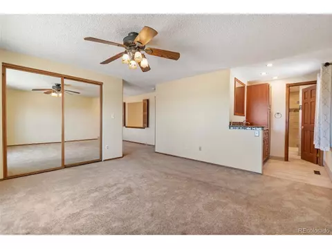19252 E 46th Ave, Denver, CO 80249 photo 20