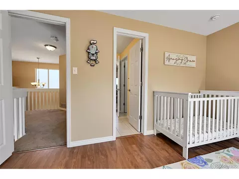 12196 Grape St, Thornton, CO 80241 photo 23