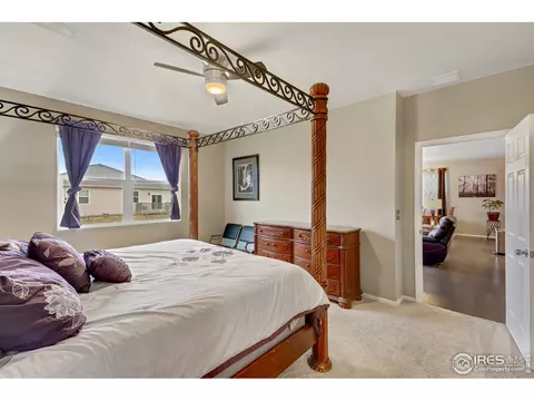 417 Harrow St, Severance, CO 80550 photo 13