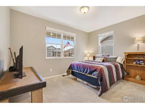 417 Harrow St, Severance, CO 80550 photo 19