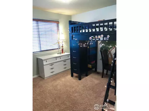6309 Sienna Dr, Timnath, CO 80547 photo 18