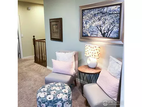 6309 Sienna Dr, Timnath, CO 80547 photo 22