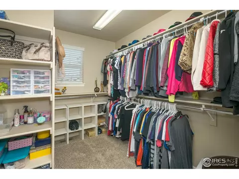 5978 Graphite St, Timnath, CO 80547 photo 20