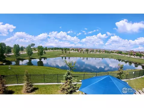 5978 Graphite St, Timnath, CO 80547 photo 39
