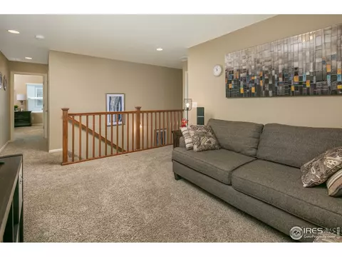 5978 Graphite St, Timnath, CO 80547 photo 21