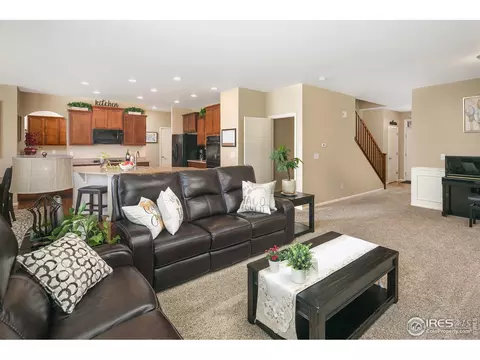 5978 Graphite St, Timnath, CO 80547 photo 10