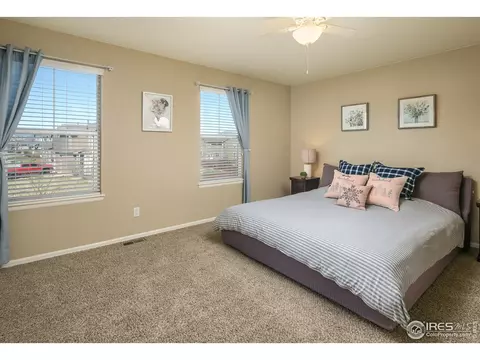 5978 Graphite St, Timnath, CO 80547 photo 23