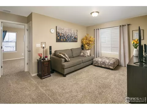5978 Graphite St, Timnath, CO 80547 photo 22