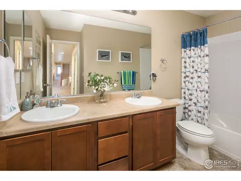 5978 Graphite St, Timnath, CO 80547 photo 26