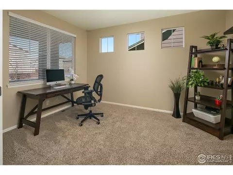 5978 Graphite St, Timnath, CO 80547 photo 7