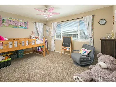 5978 Graphite St, Timnath, CO 80547 photo 25