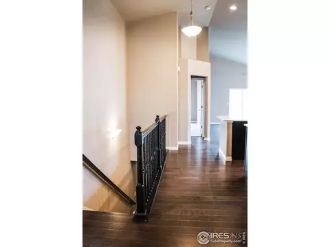 1664 Marbeck Dr, Windsor, CO 80550 photo 5
