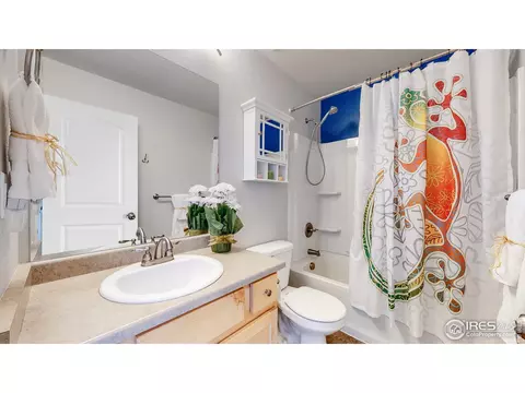449 Ptarmigan St, Severance, CO 80550 photo 21