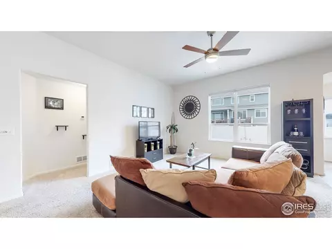 449 Ptarmigan St, Severance, CO 80550 photo 8