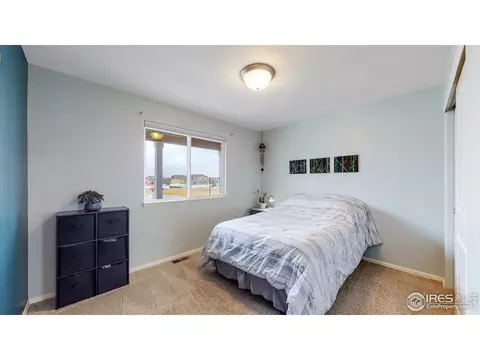 449 Ptarmigan St, Severance, CO 80550 photo 17