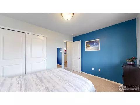 449 Ptarmigan St, Severance, CO 80550 photo 20