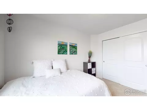 449 Ptarmigan St, Severance, CO 80550 photo 24