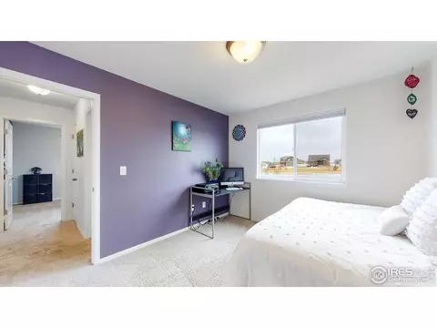 449 Ptarmigan St, Severance, CO 80550 photo 25