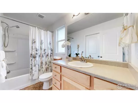 449 Ptarmigan St, Severance, CO 80550 photo 30