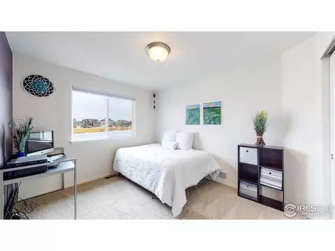 449 Ptarmigan St, Severance, CO 80550 photo 23